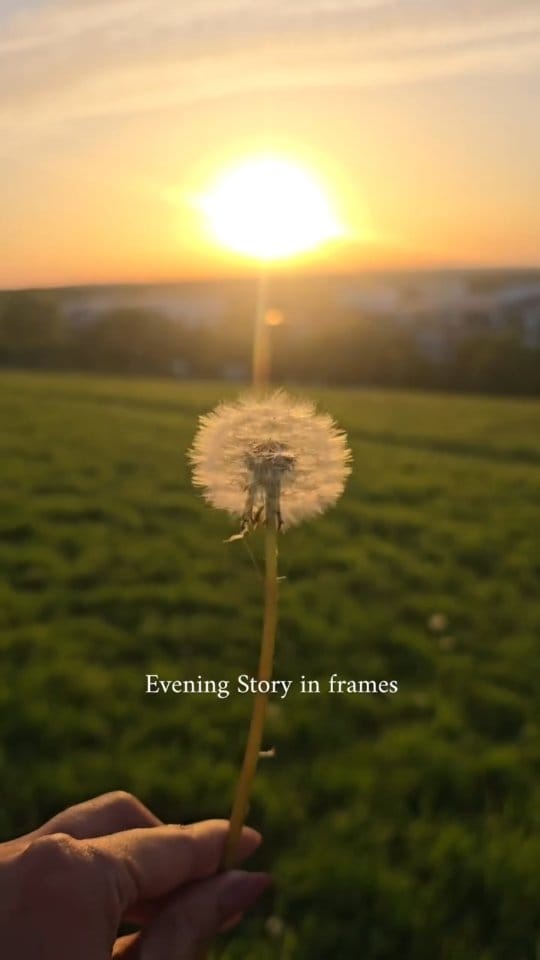 Post 2 by Neha |📍Ireland ☘️🇮🇪 on Instagram (video)