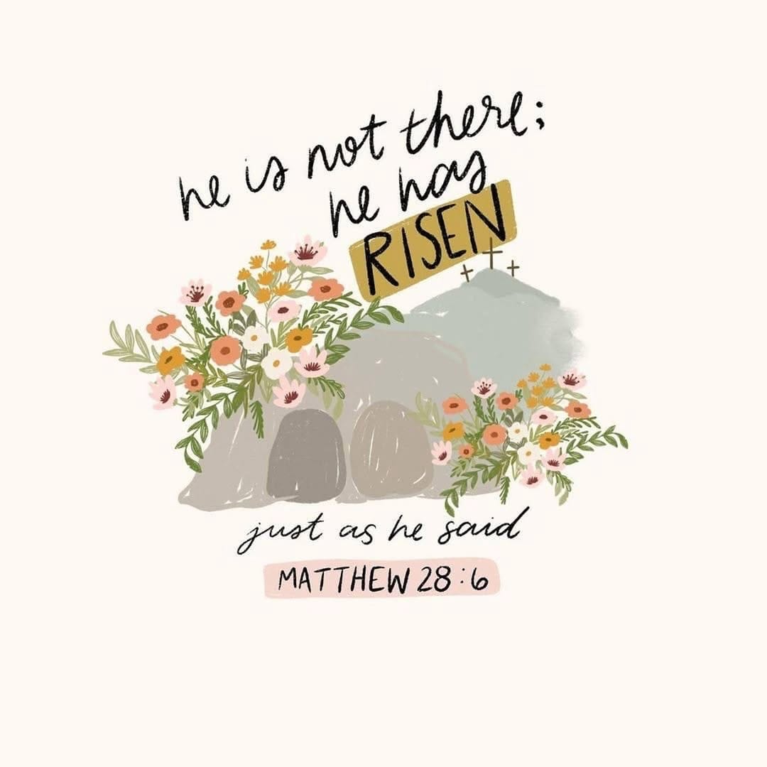 Post 6 by Katie Ring on Instagram (image)
