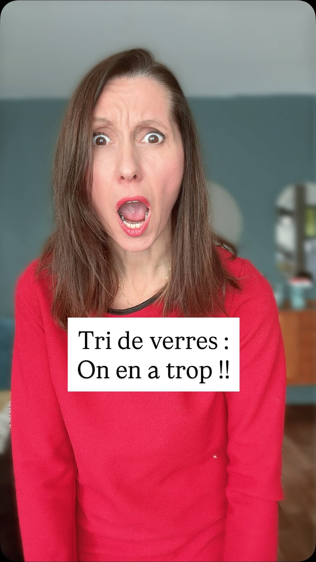 Post 1 by Home Organiser by Sandra Fradin on Instagram (video)