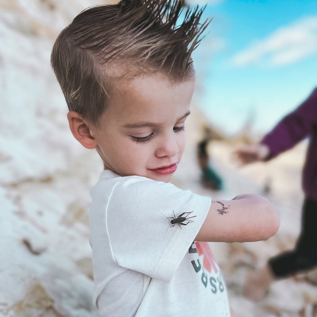 Post 10 by Little Bugs Nature Learn & Play LLC on Instagram (image)