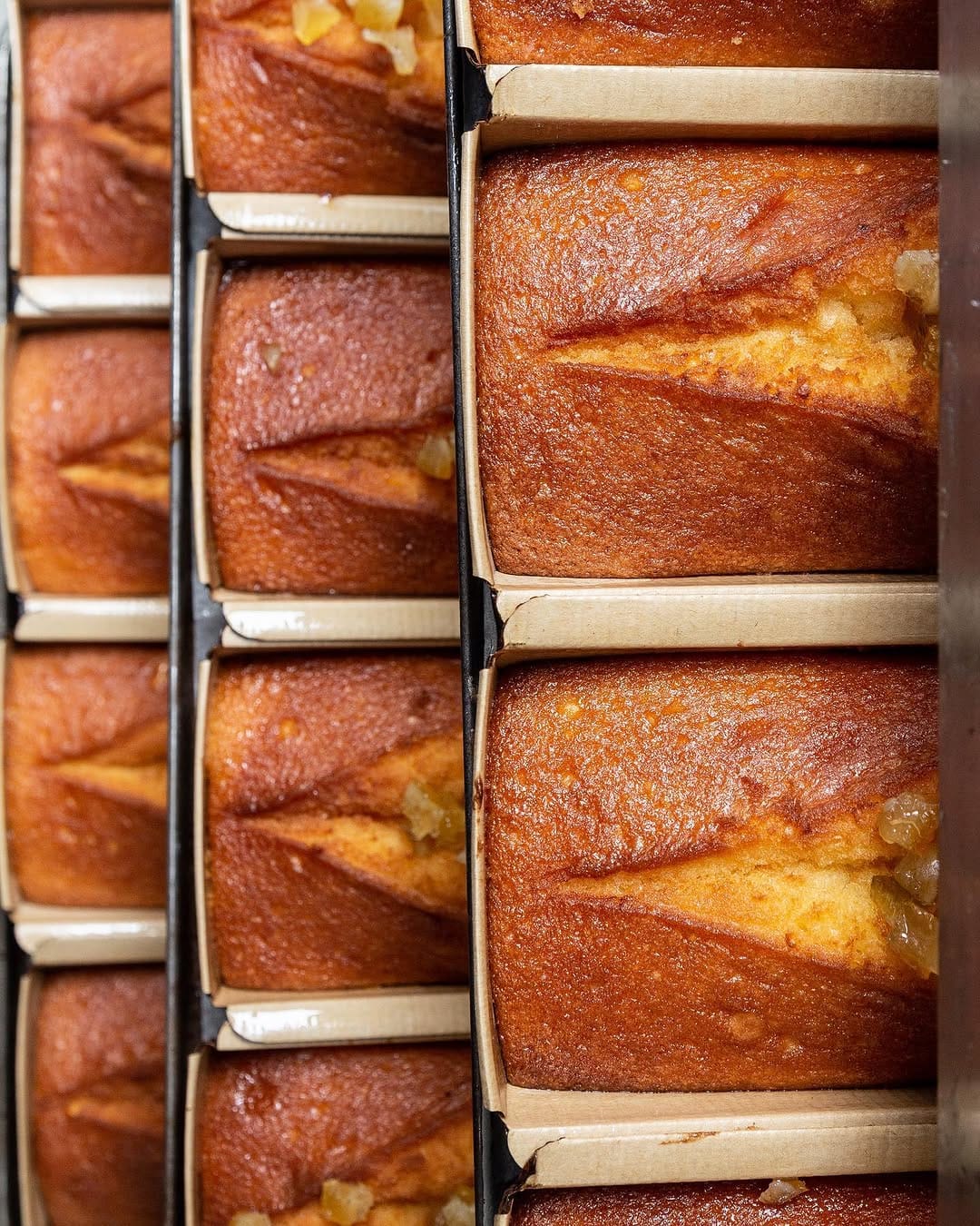 Post 7 by Panod on Instagram (image)