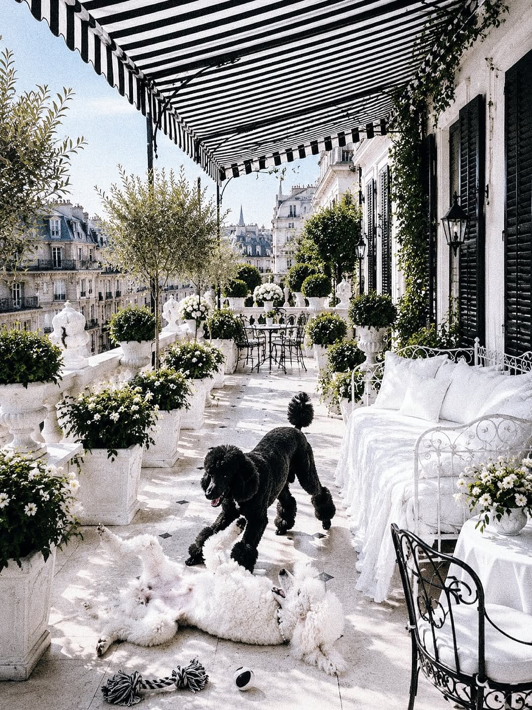 Post 2 by Parisian Noir Home on Instagram (image)