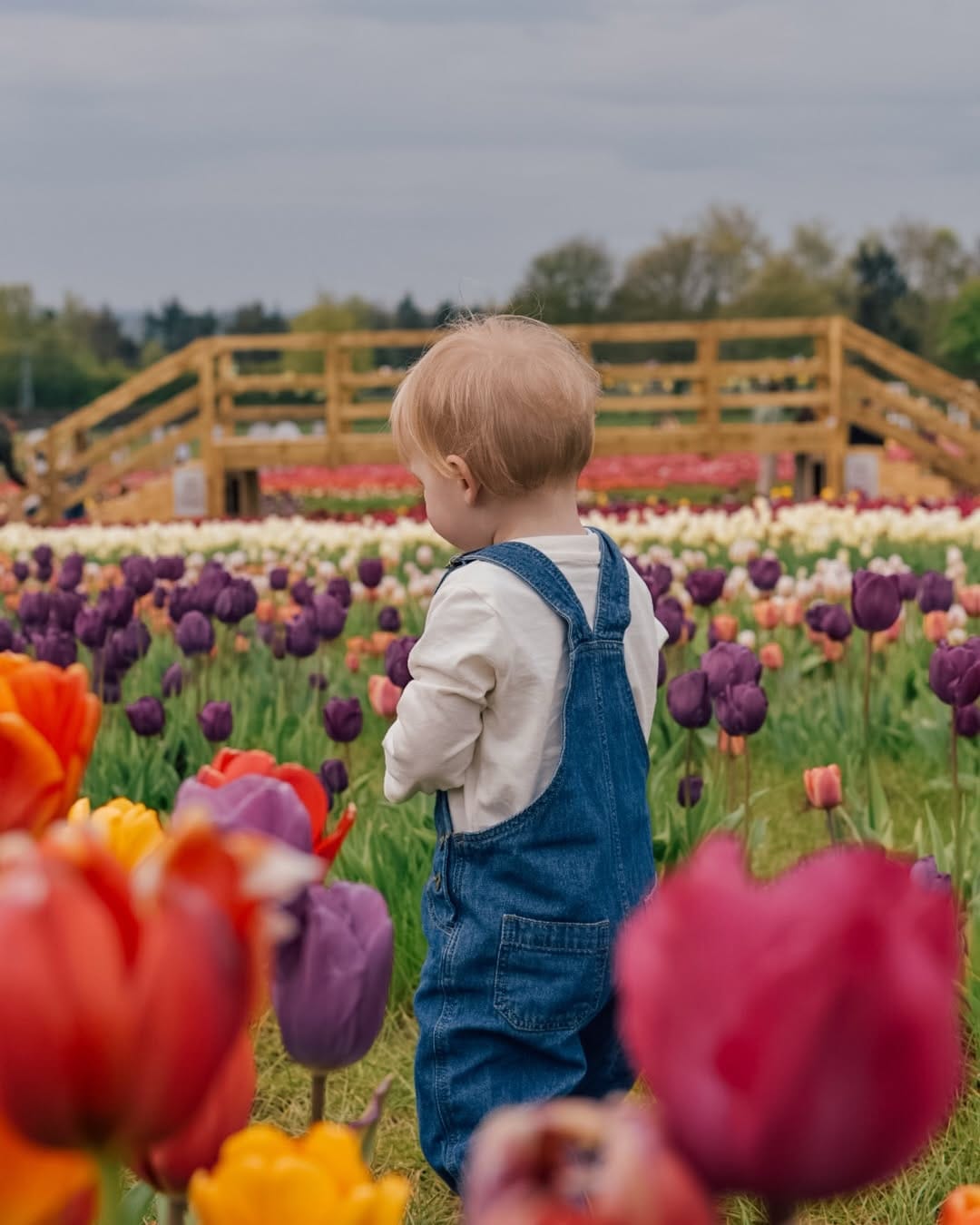 Post 8 by Laura | Family - Home - Lifestyle on Instagram (carousel)