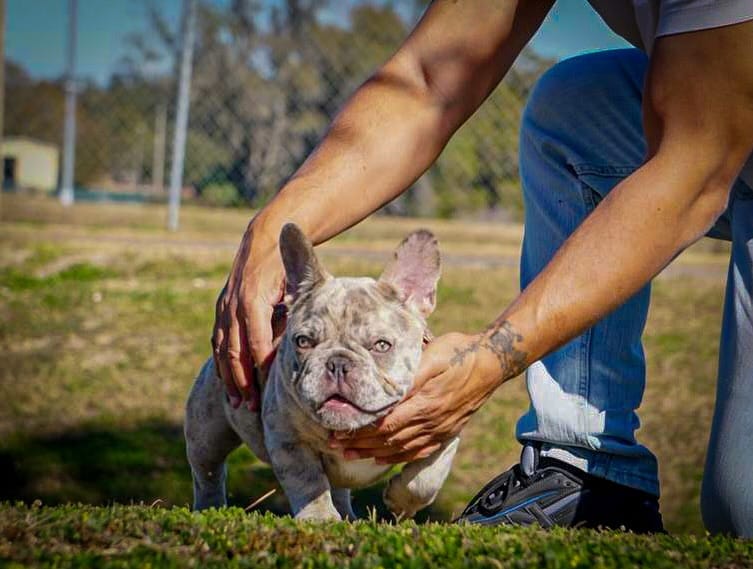 Post 8 by Freddy Rosario on Instagram (image)