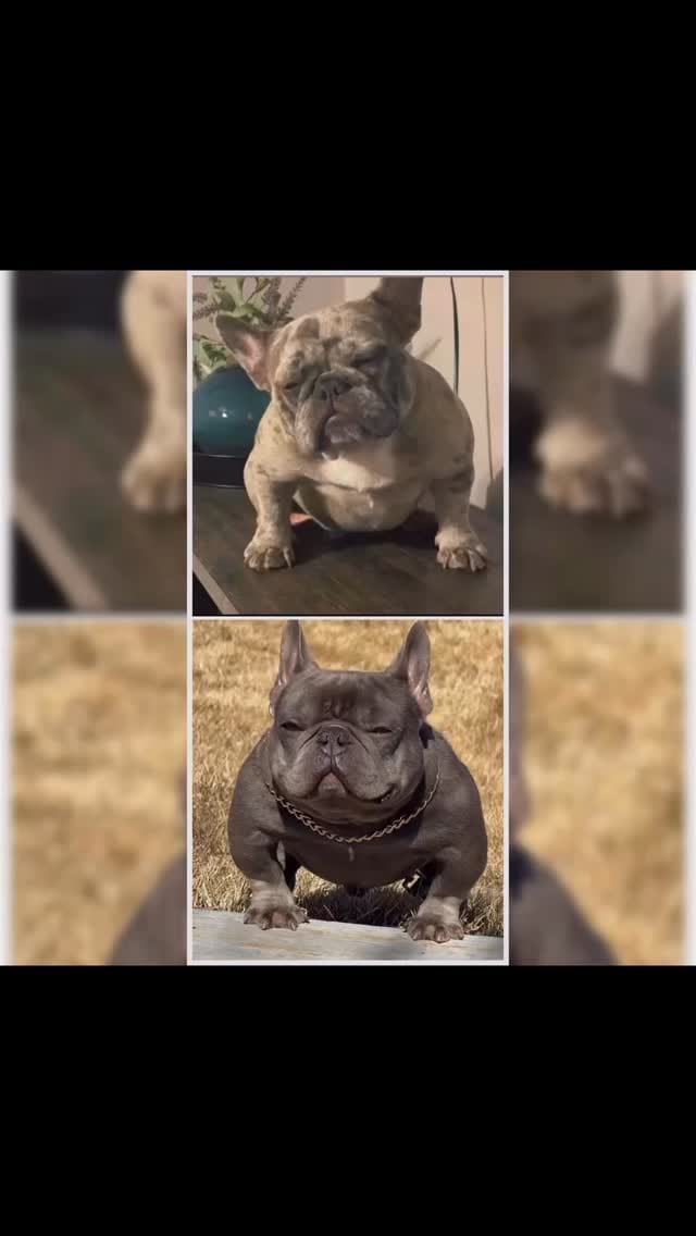 Post 7 by Freddy Rosario on Instagram (video)