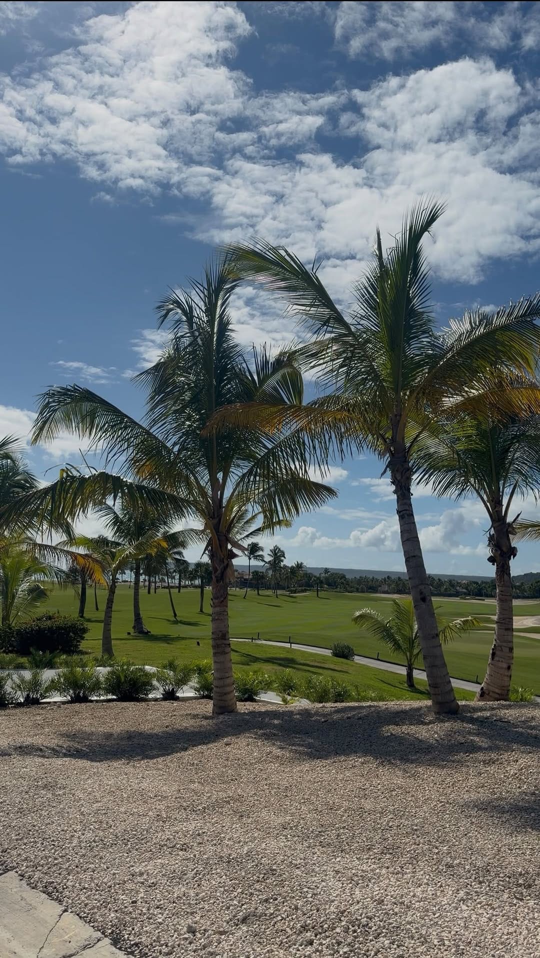 Post 8 by Realty Group | Real Estate on Instagram (video)
