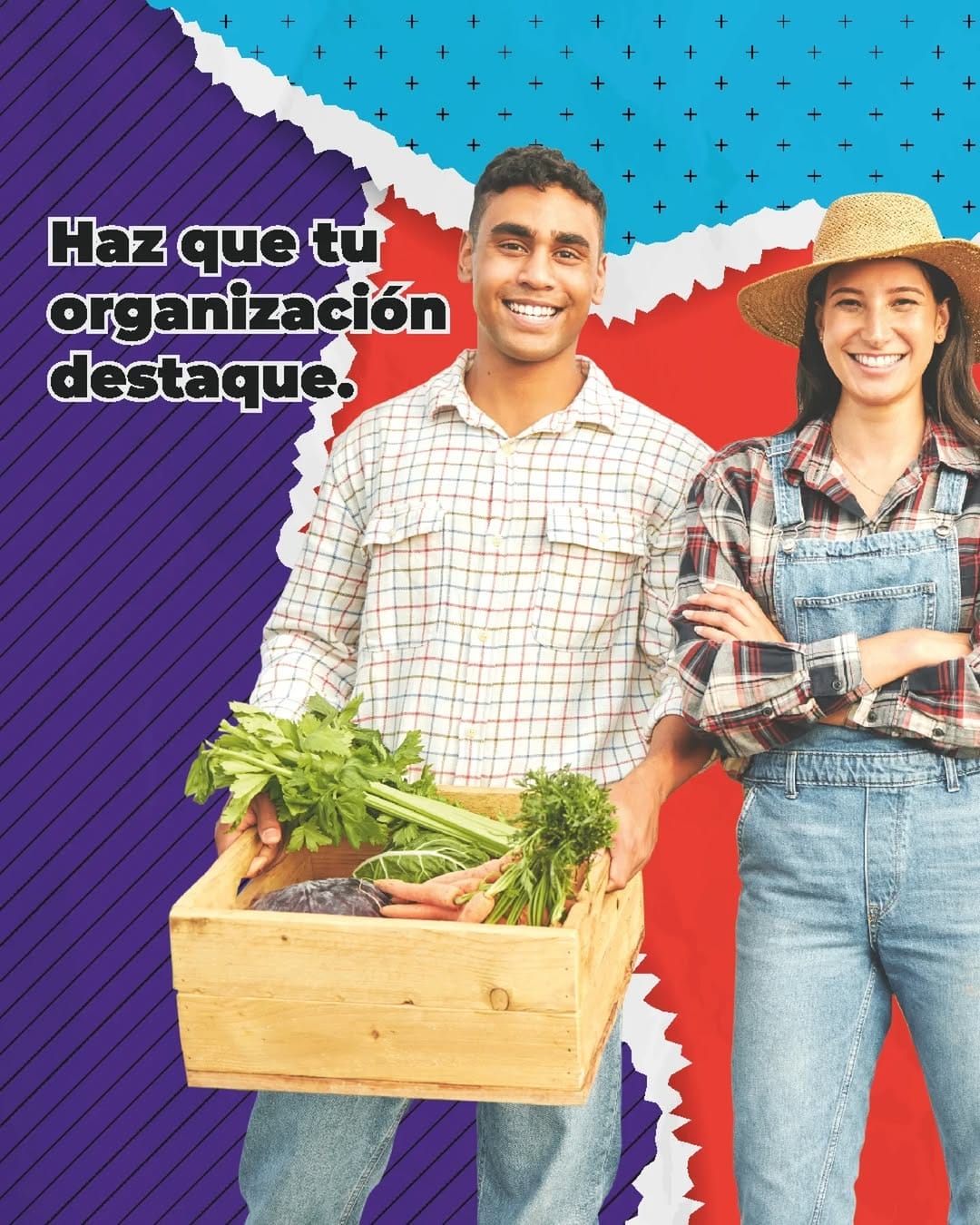 Post 6 by Instituto Nacional de Economía Popular y Solidaria - IEPS on Instagram (carousel)