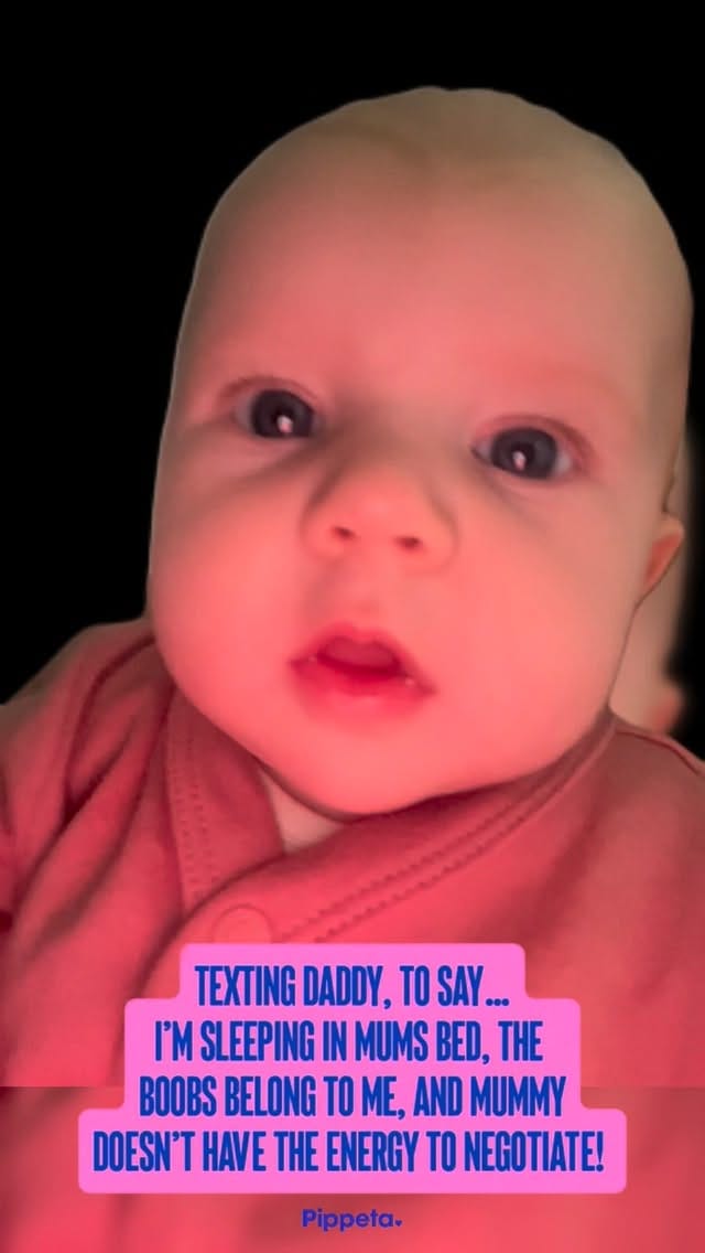 Post 5 by Pippeta | Feeding Real Easy on Instagram (video)