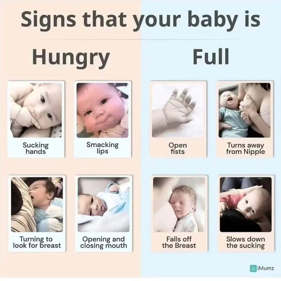 Post 8 by Pregnancy & Baby Care on Instagram (image)