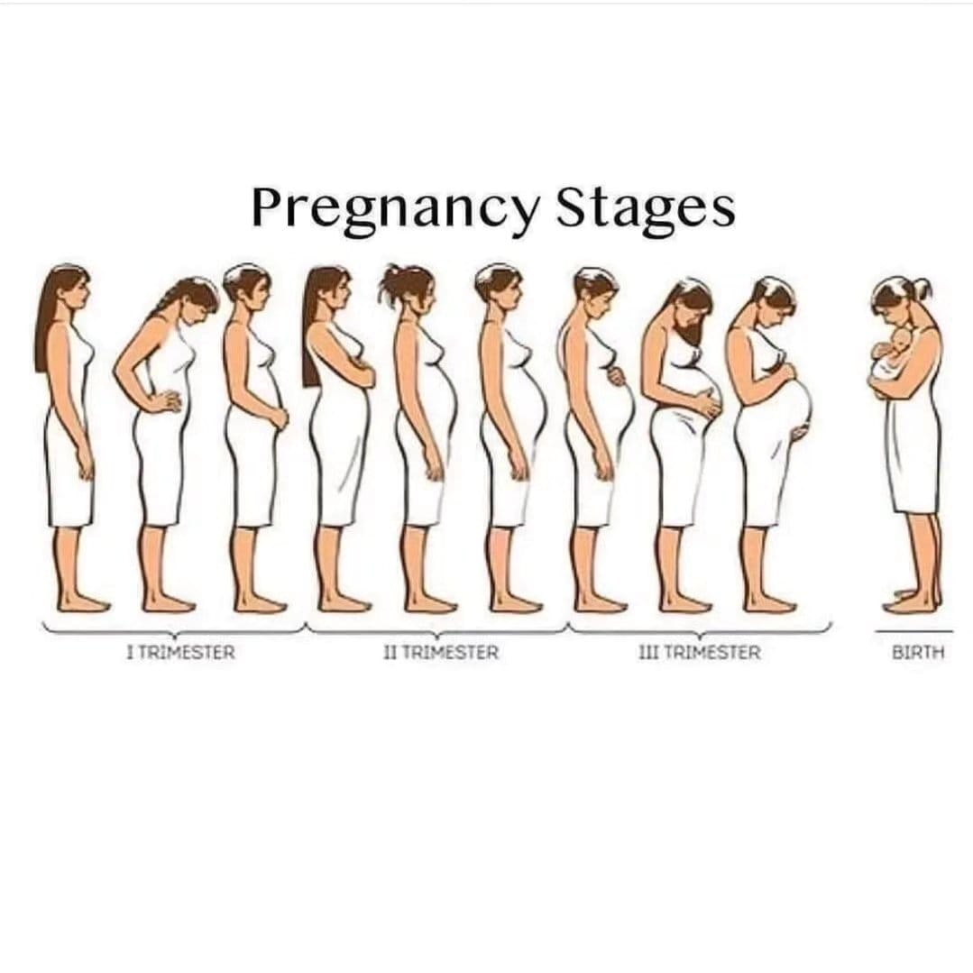 Post 3 by Pregnancy & Baby Care on Instagram (image)