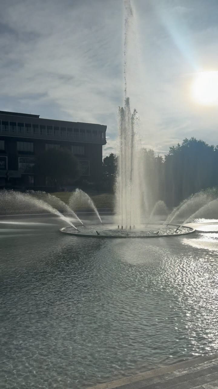 Post 6 by Annette Koscielniak on Instagram (video)