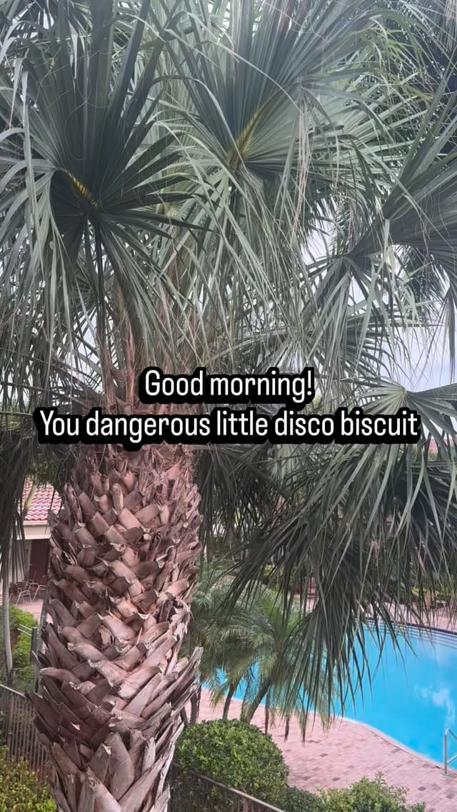 Post 8 by Annette Koscielniak on Instagram (video)