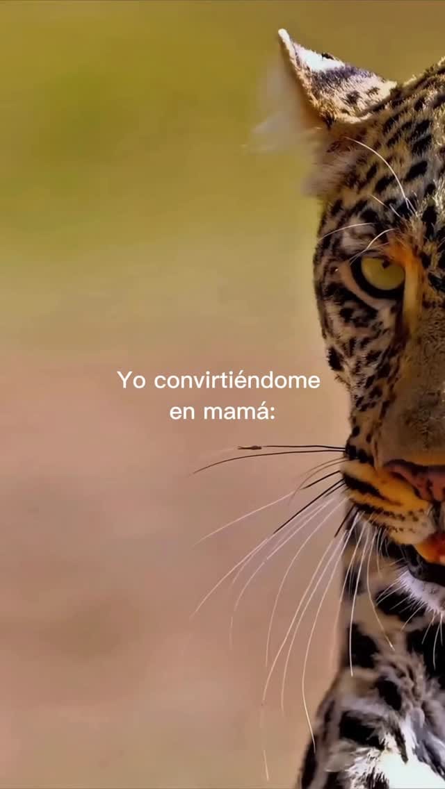 Post 4 by E S T E F A N I A❤️‍🔥 on Instagram (video)