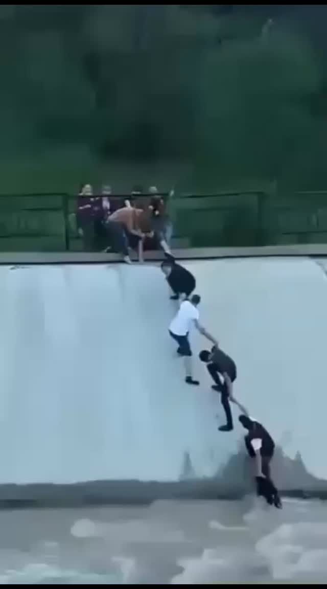 Post 4 by Isidro Murillo on Instagram (video)