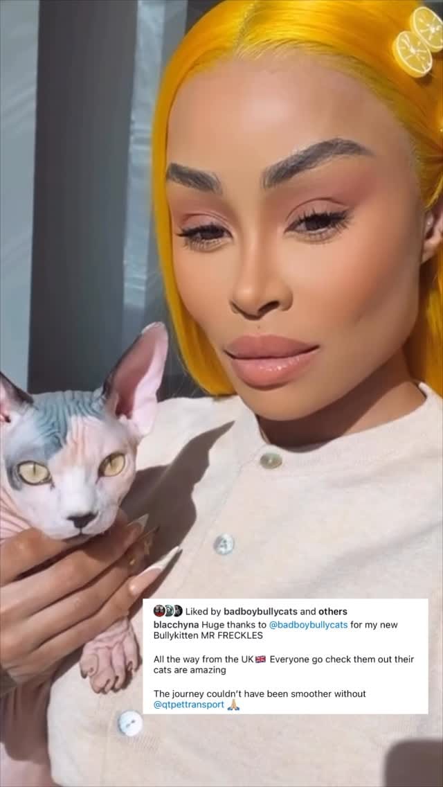 Post 8 by Flight nanny QT Pet Transport on Instagram (video)
