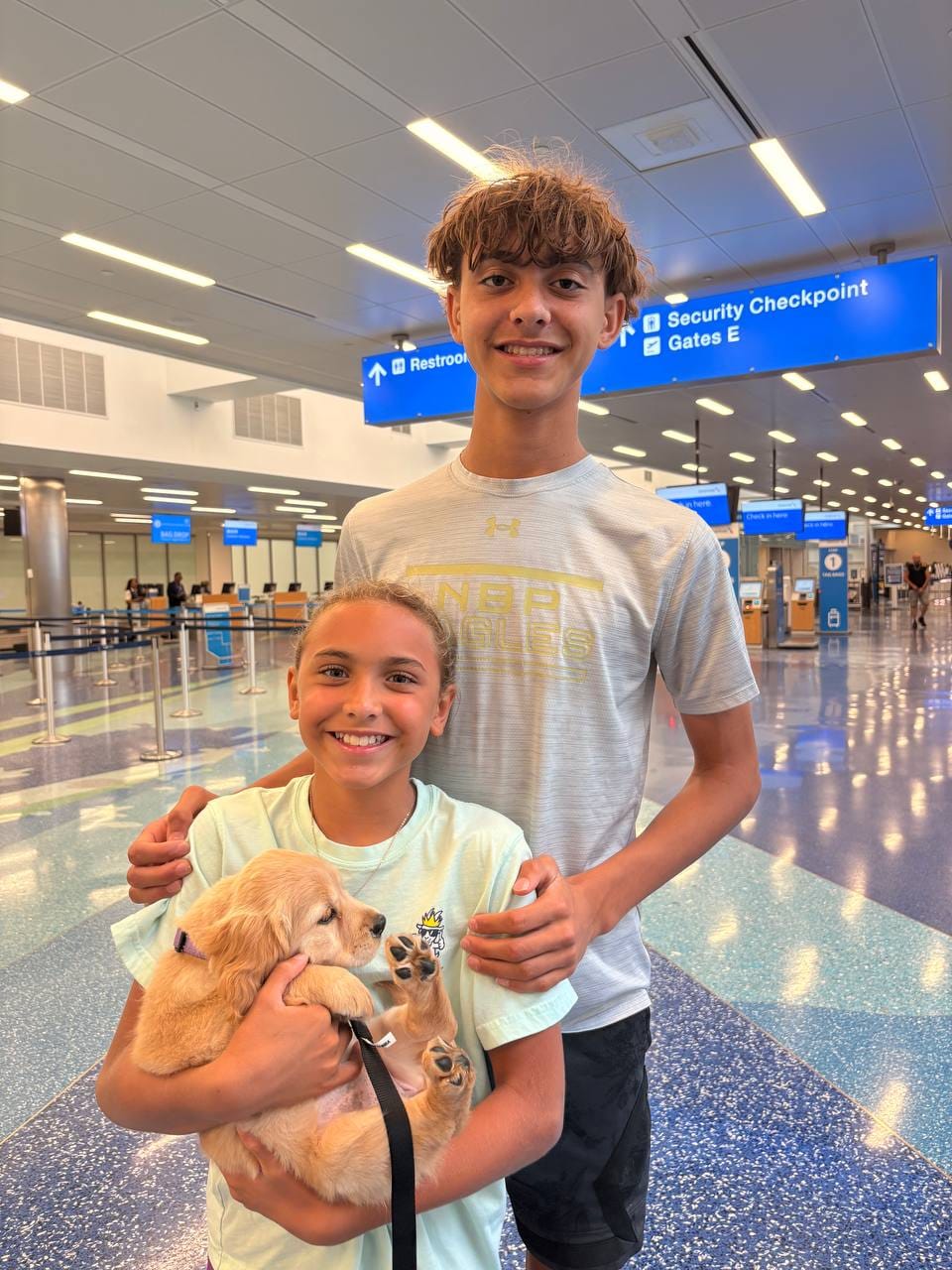Post 3 by Flight nanny QT Pet Transport on Instagram (image)