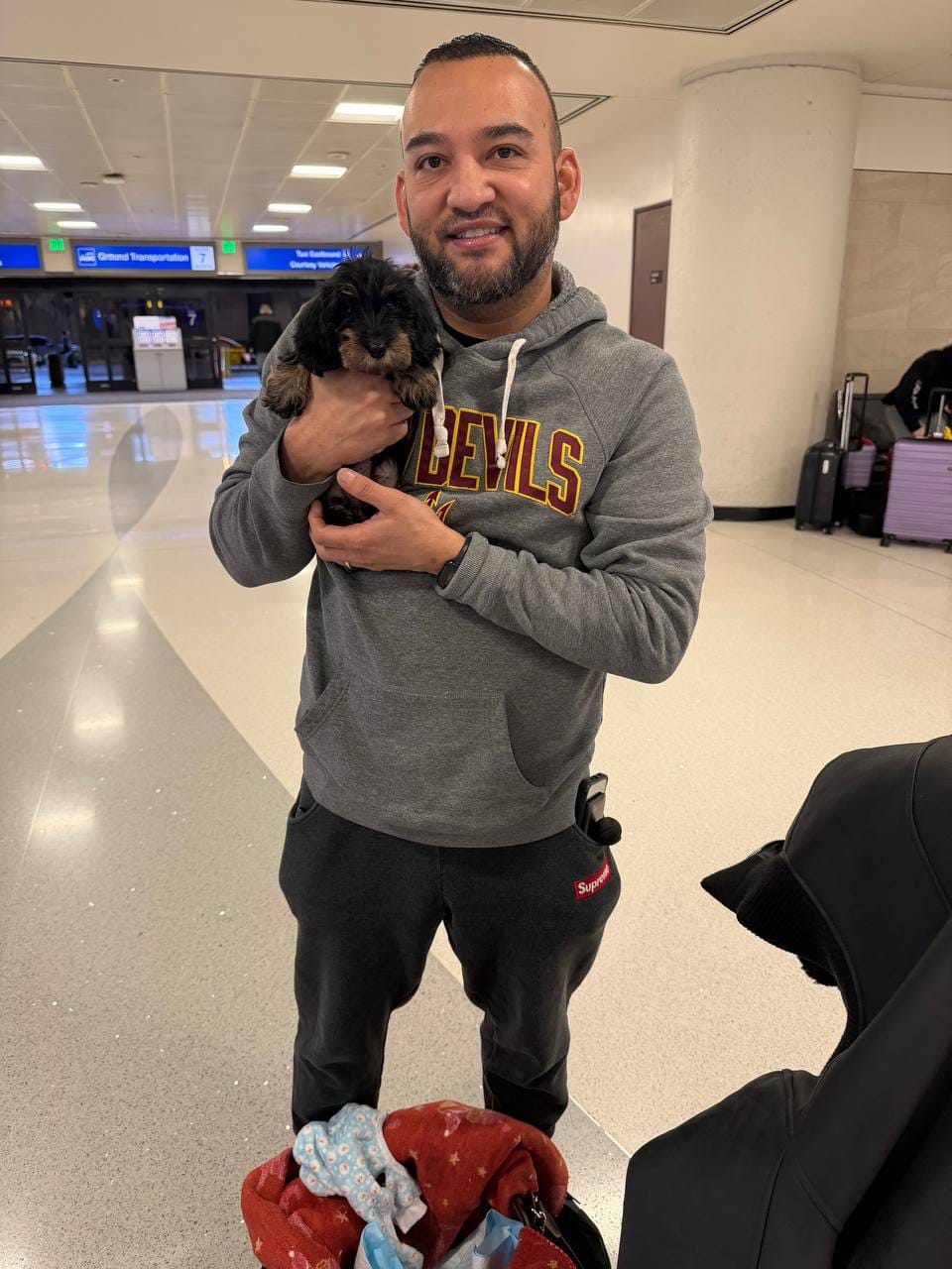 Post 4 by Flight nanny QT Pet Transport on Instagram (image)