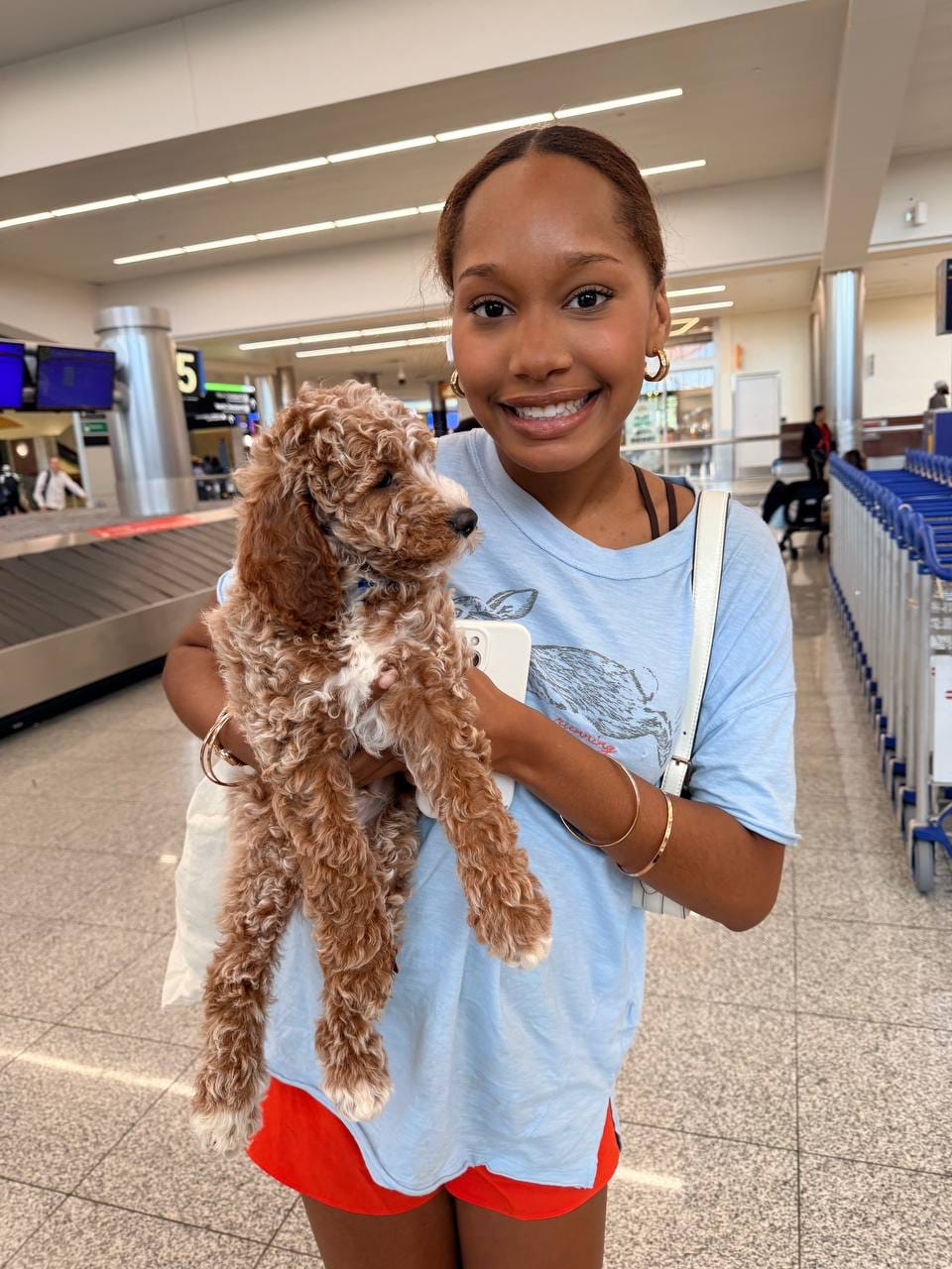 Post 7 by Flight nanny QT Pet Transport on Instagram (image)