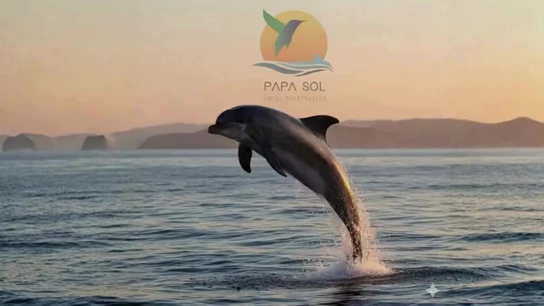 Post 9 by Papa Sol Chile , Puertecillo on Instagram (video)