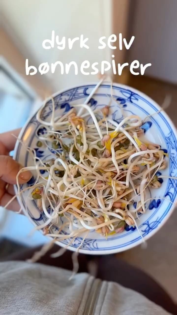 Post 1 by Nina Minh on Instagram (video)