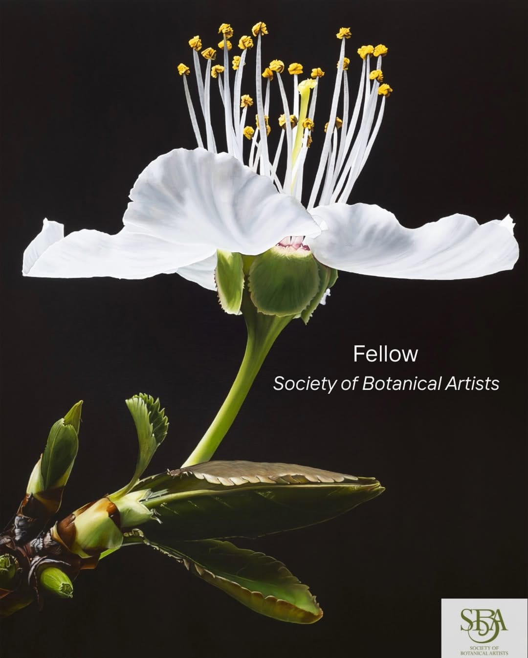 Post 4 by Trish Mitchell, Oil Painter | FSBA on Instagram (image)