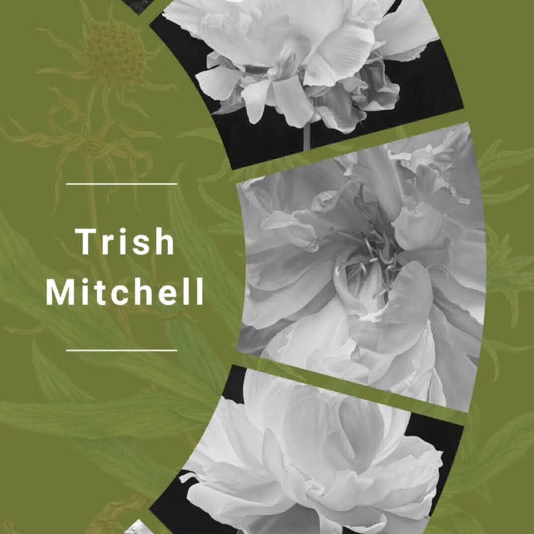 Post 2 by Trish Mitchell, Oil Painter | FSBA on Instagram (carousel)