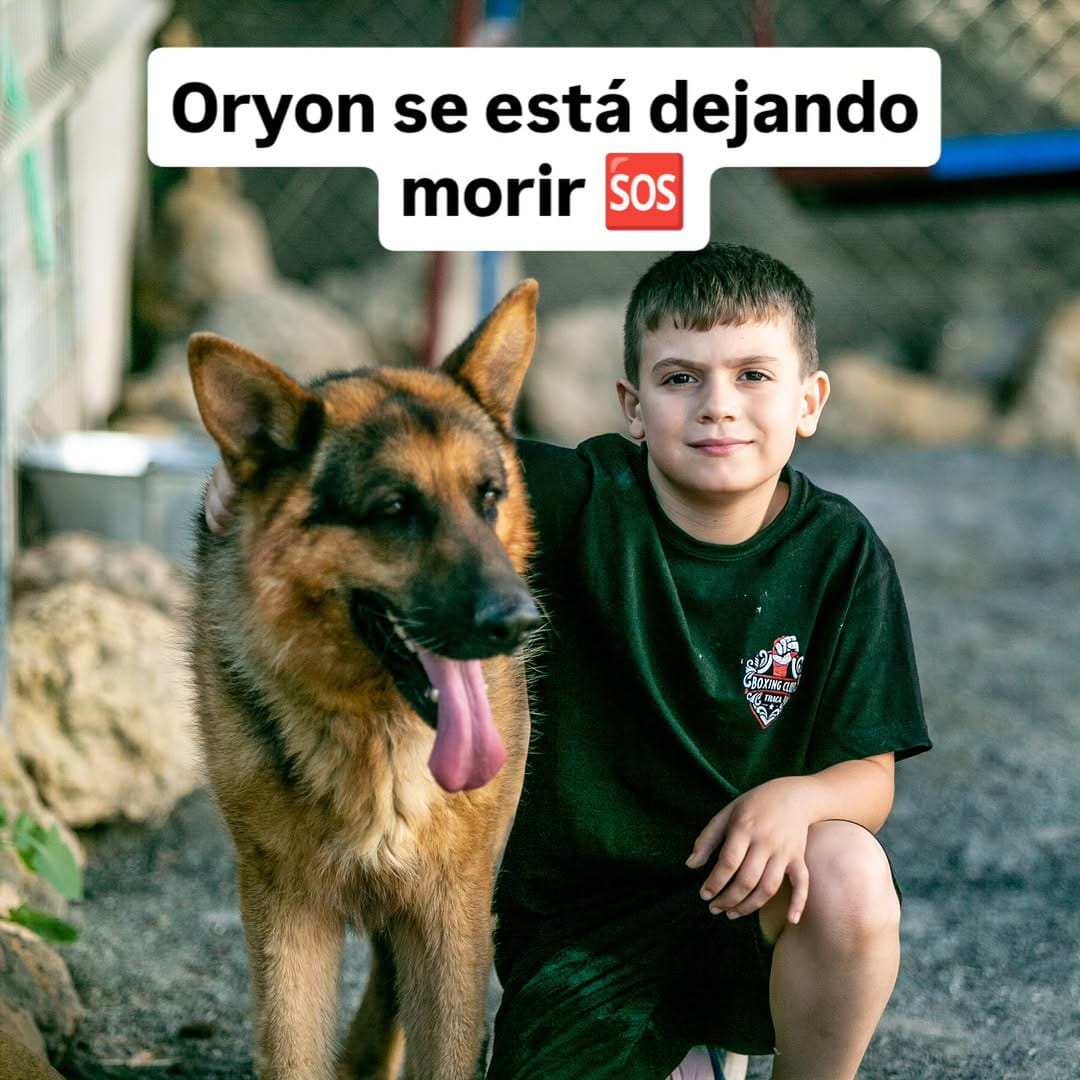 Post 1 by La Sonrisa Animal on Instagram (carousel)