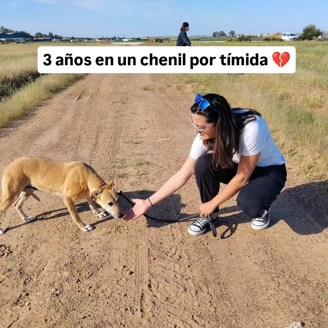 Post 9 by La Sonrisa Animal on Instagram (carousel)