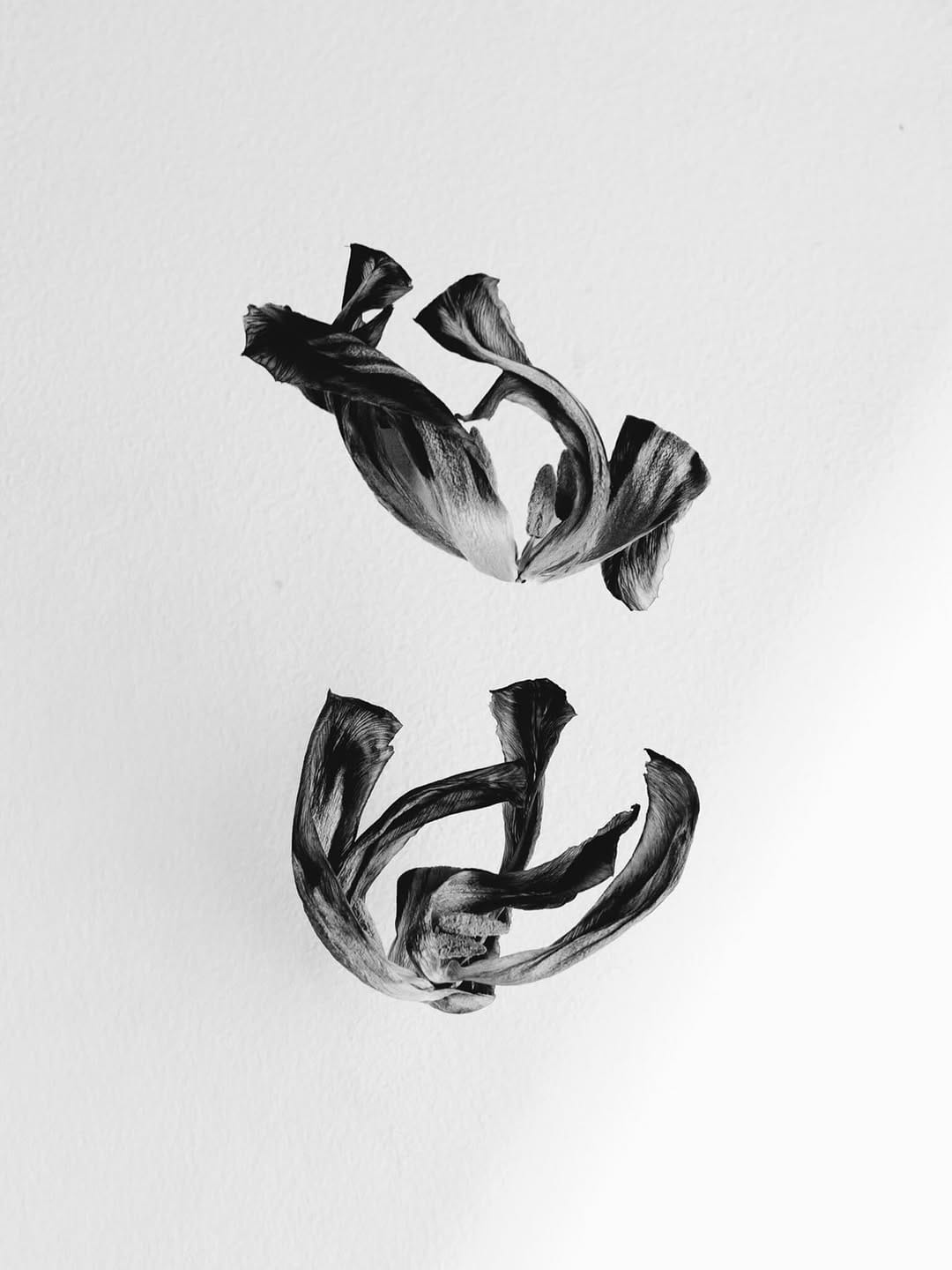 Post 6 by Line Brusegan — on Instagram (image)