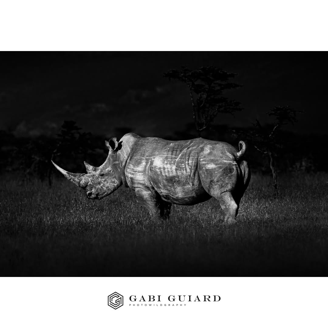 Post 5 by GABI GUIARD Photowildgraphy on Instagram (carousel)