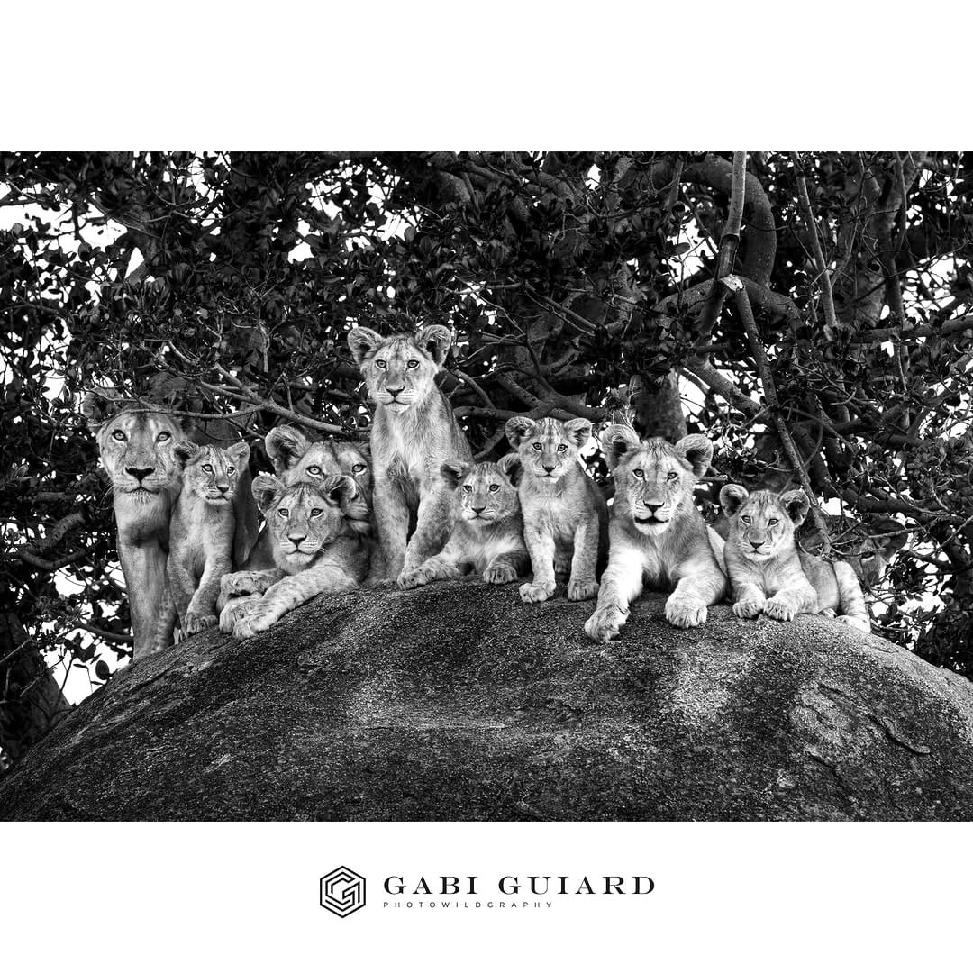 Post 7 by GABI GUIARD Photowildgraphy on Instagram (carousel)
