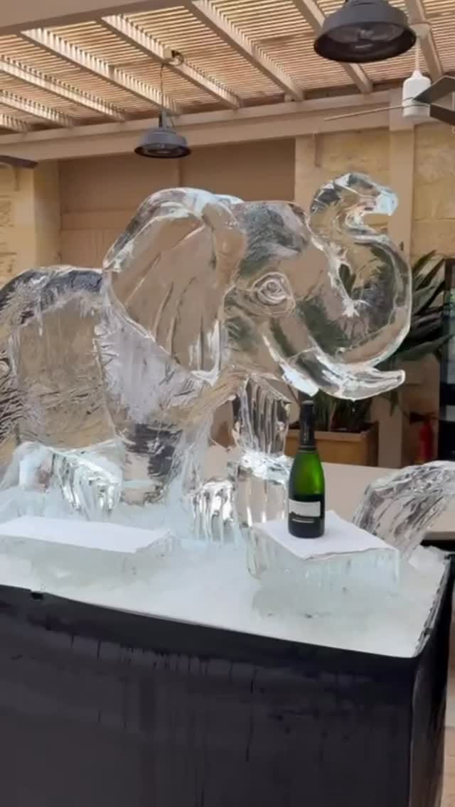 Post 1 by Sam Girault - Ice&Art on Instagram (video)