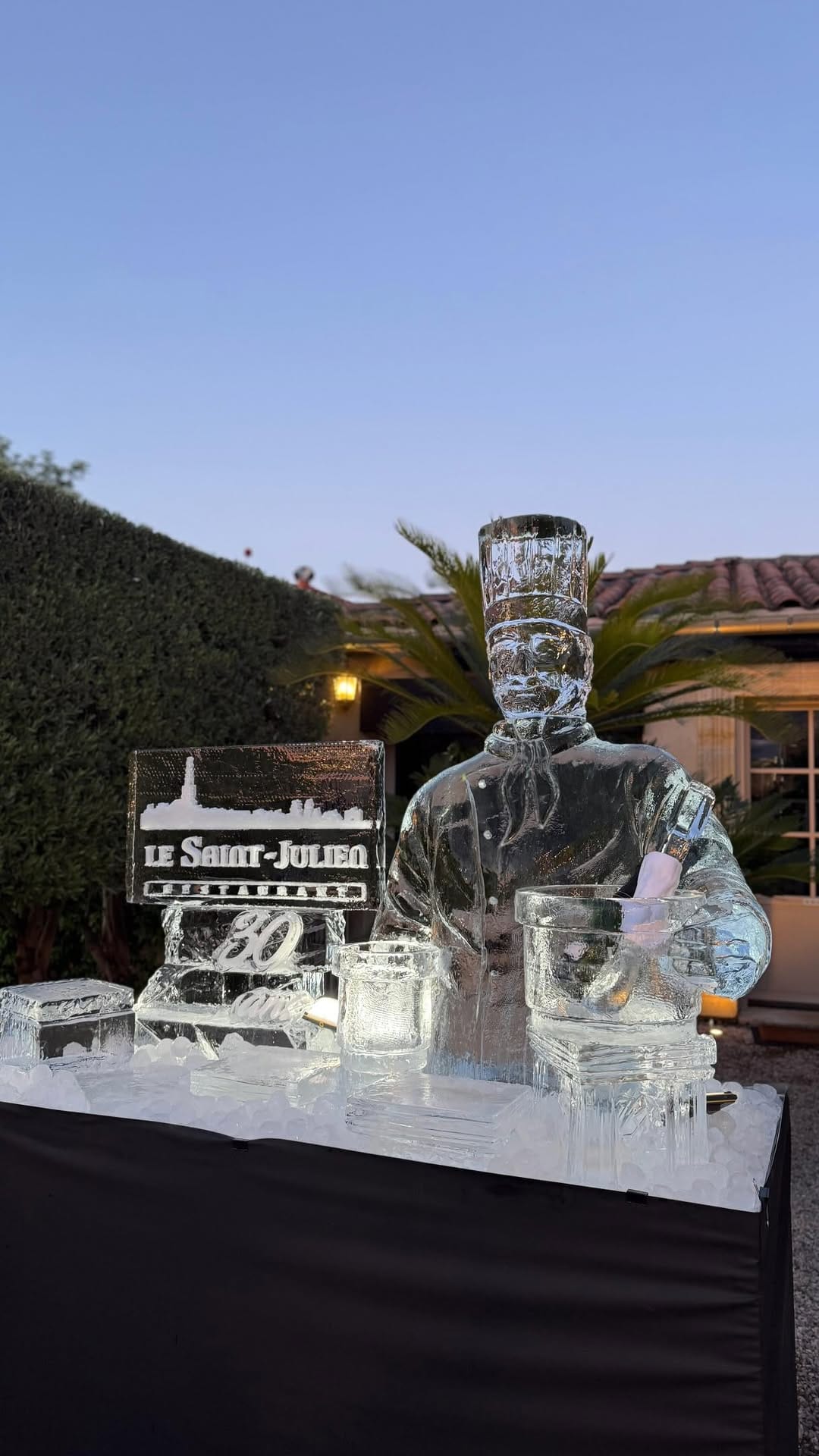 Post 5 by Sam Girault - Ice&Art on Instagram (video)