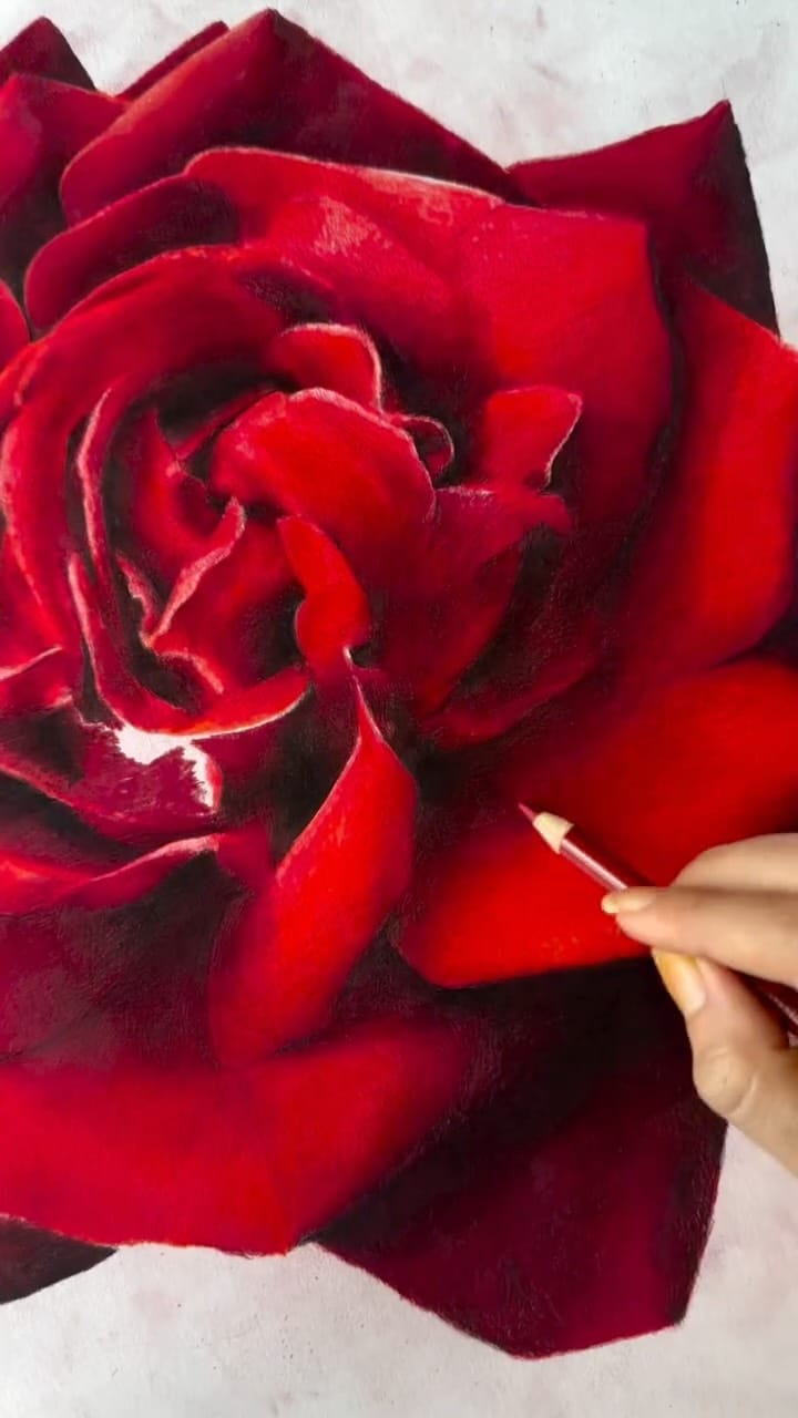 Post 8 by Sarah Frances on Instagram (video)