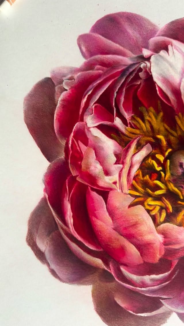 Post 2 by Sarah Frances on Instagram (video)