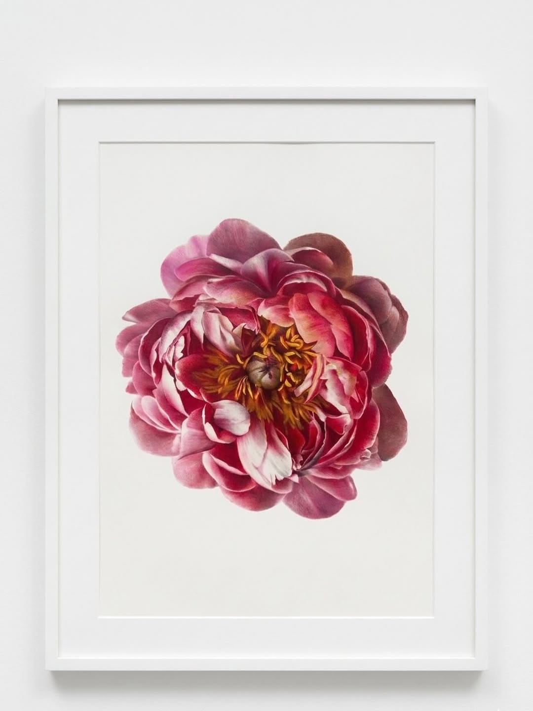 Post 1 by Sarah Frances on Instagram (image)