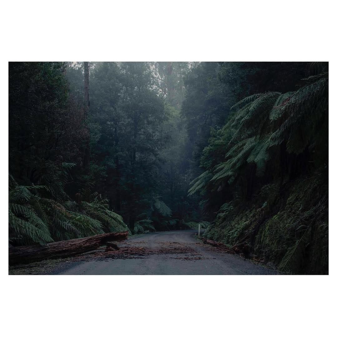 Post 10 by Felix Forest on Instagram (image)