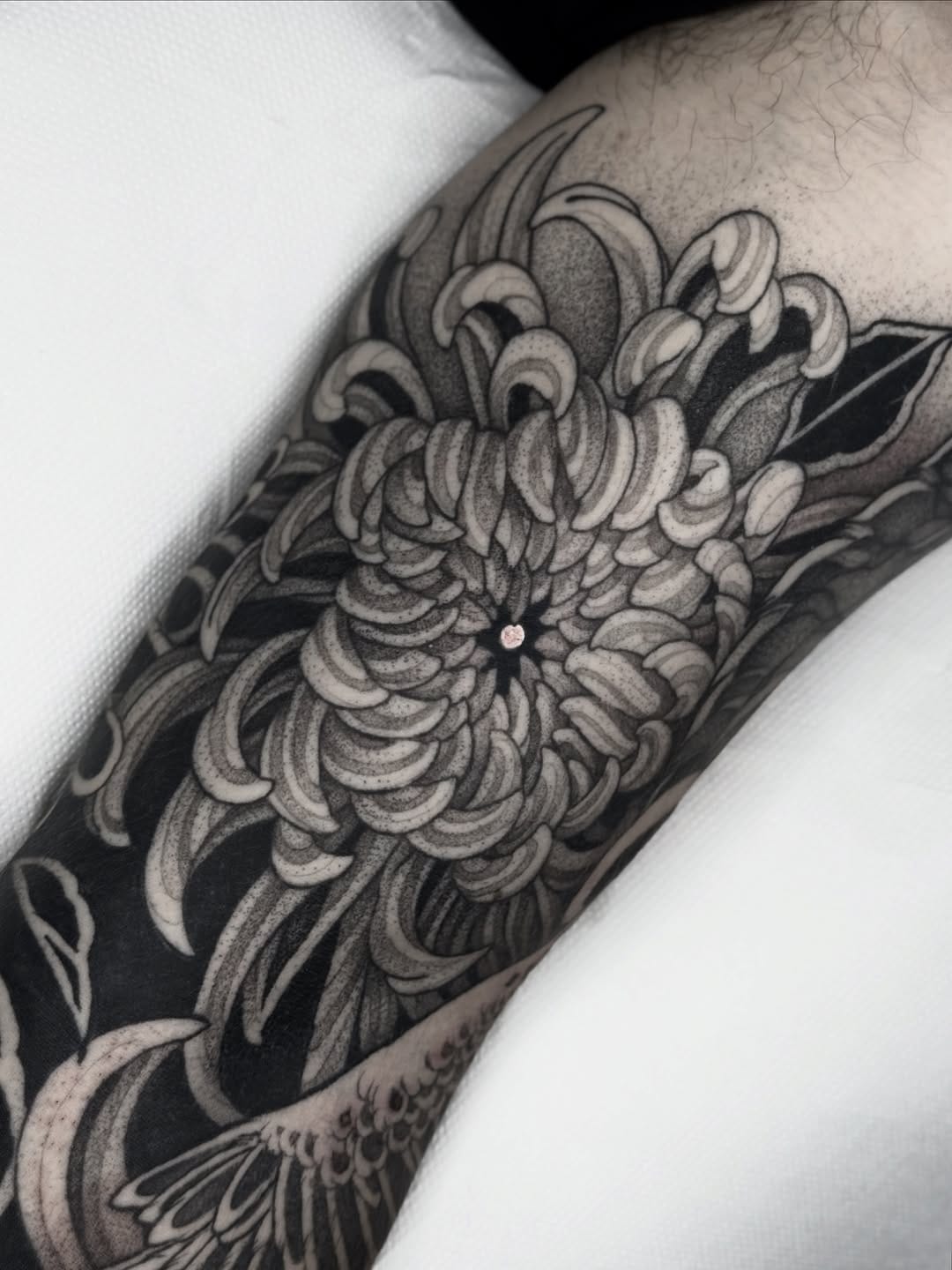 Post 1 by Gala Jenkins on Instagram (carousel)