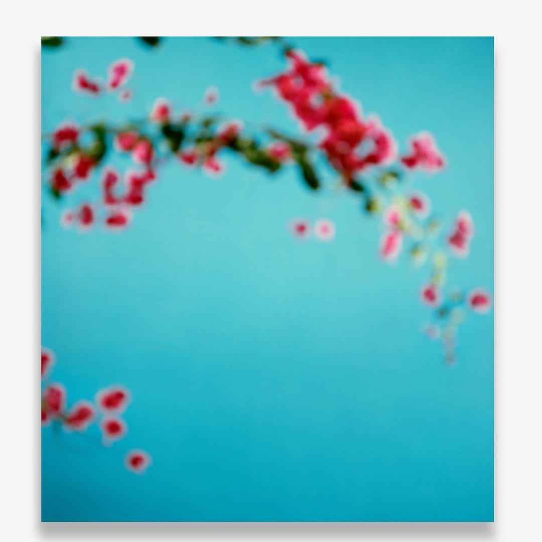 Post 8 by Uta Barth on Instagram (image)