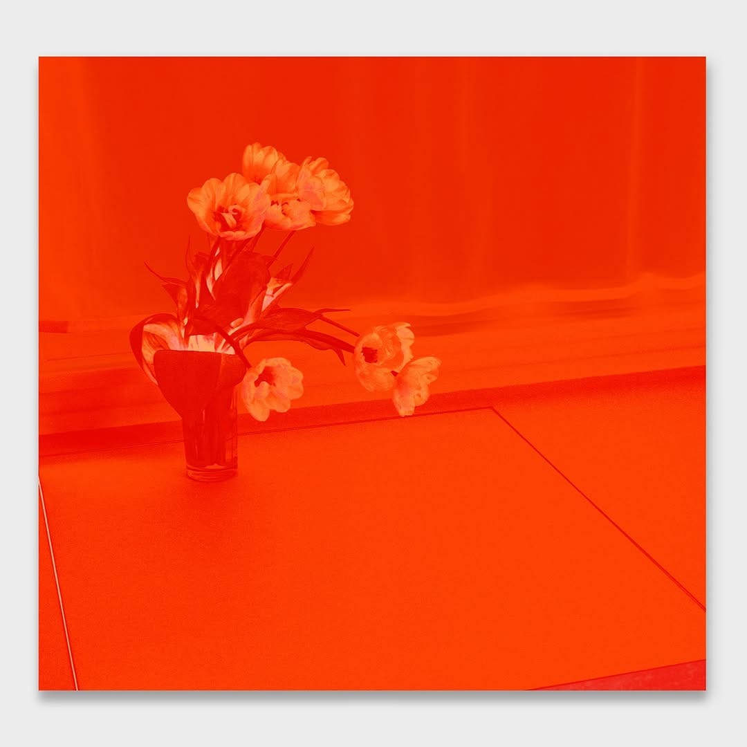 Post 5 by Uta Barth on Instagram (carousel)