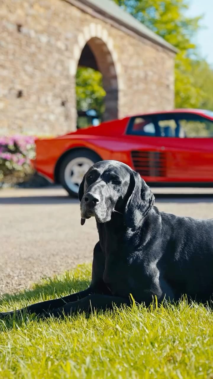 Post 10 by France Supercars on Instagram (video)