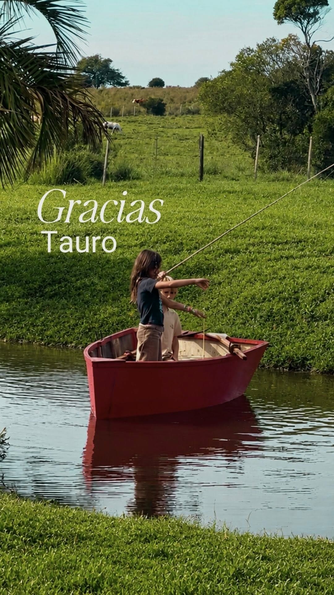 Post 2 by Sarah 🌺 on Instagram (video)