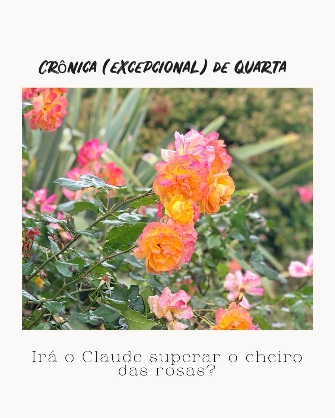 Post 3 by Ana Clara Garmendia on Instagram (carousel)