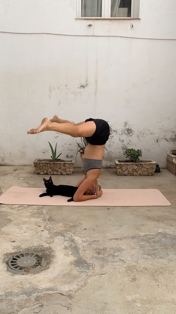 Post 1 by CEL ✨ YOGA & SELF LOVE on Instagram (video)