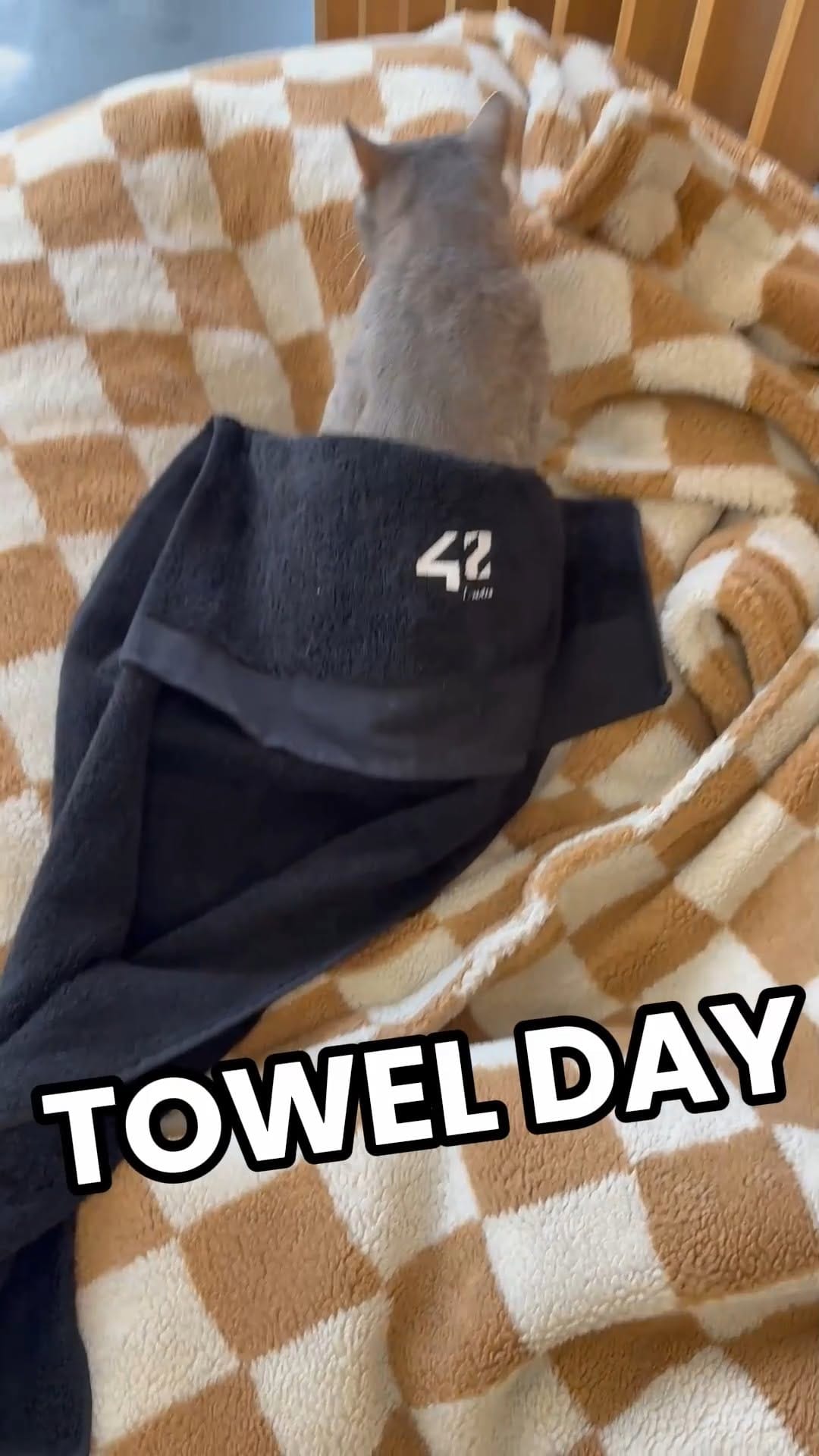 Post 2 by 42 Paris on Instagram (video)