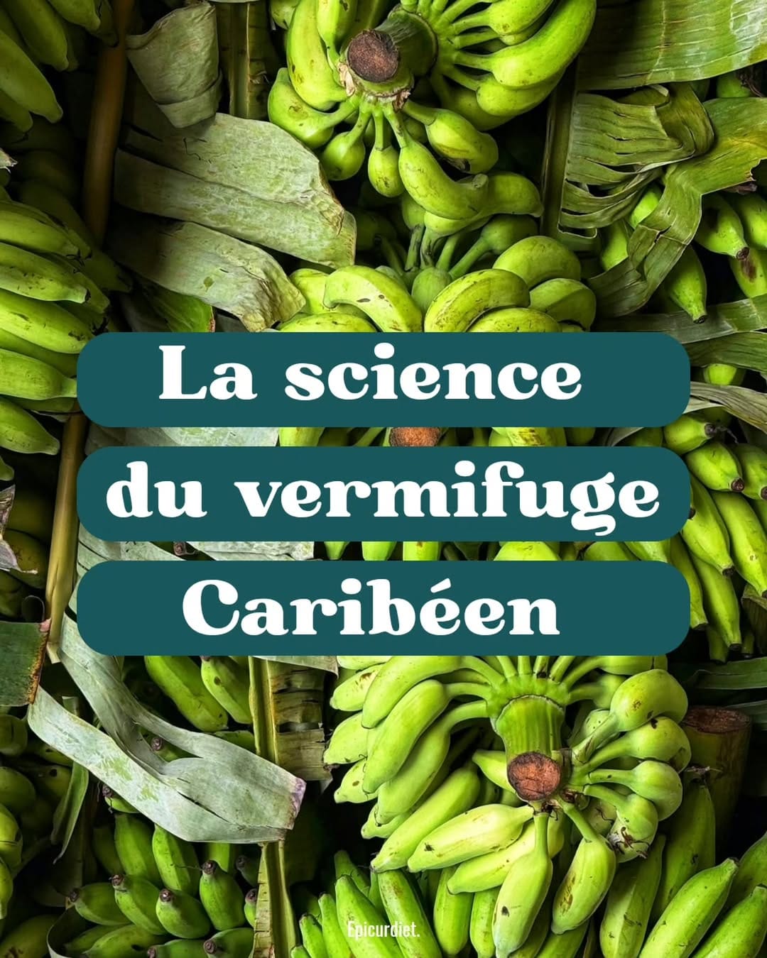 Post 7 by Charlène GOINDIN | Microbiote Afro-caribéen on Instagram (carousel)