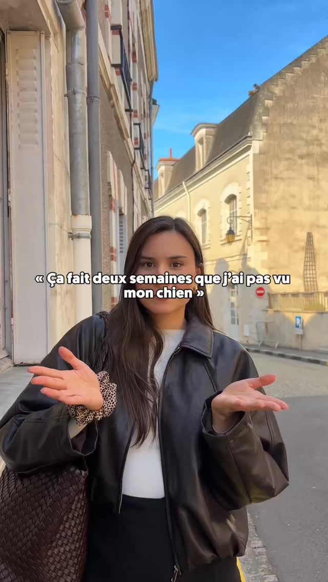 Post 7 by Japhy on Instagram (video)