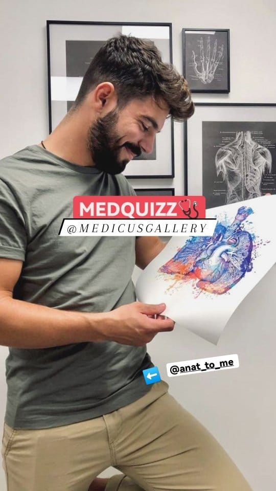 Post 2 by Medicus Gallery on Instagram (video)