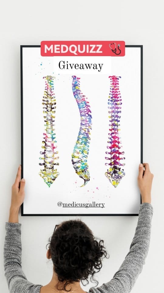 Post 5 by Medicus Gallery on Instagram (video)