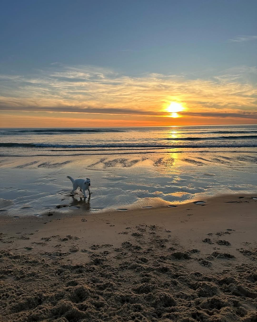 Post 2 by Maurine 🦢 on Instagram (image)
